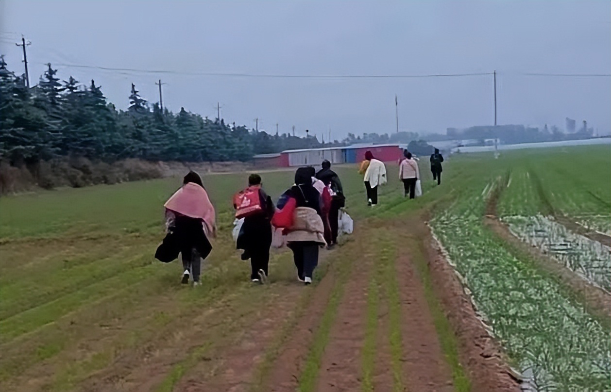 富士康真实事件纪录片,富士康真实案件