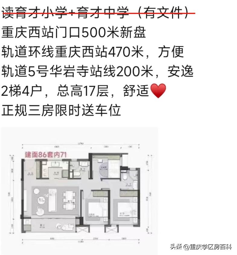 谢家湾小学本部和分校区别,谢家湾小学老校区和华润校区