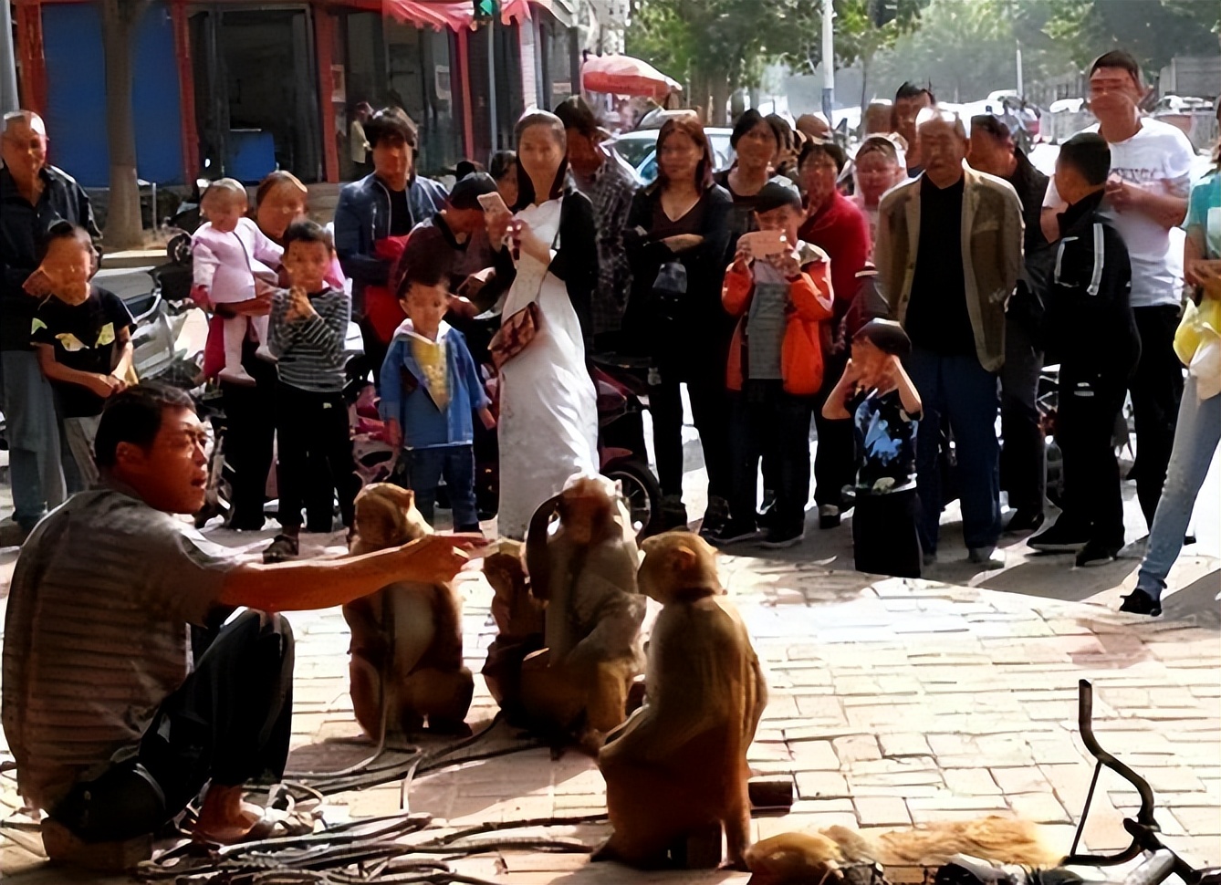 湖南生下小猴子卖给马戏团,湖南一产妇生下“小猴子”