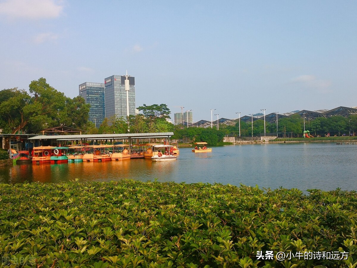 溜娃好去处就在紫谷萌宠乐园,青龙湖湿地公园遛娃攻略