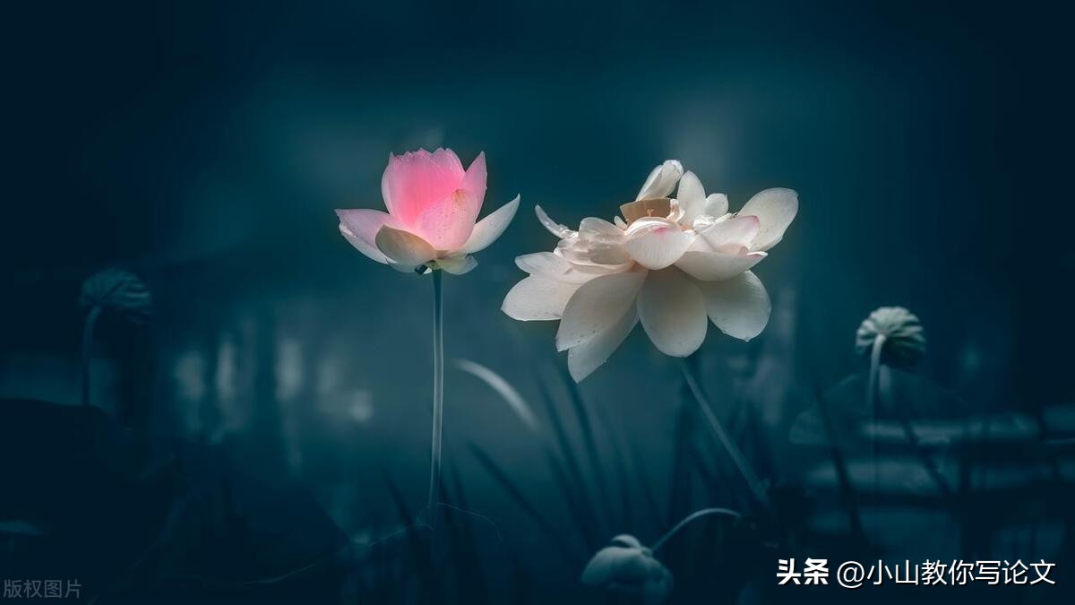 论文先写正文还是先写目录,写论文目录怎么弄