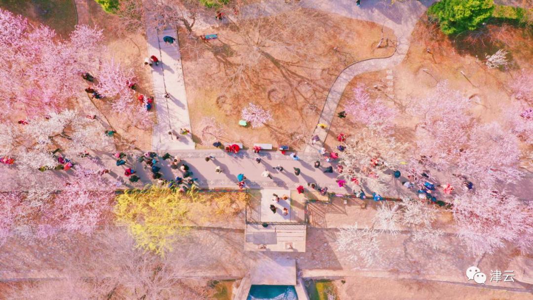 津城春暖花开时,观察春天的景象
