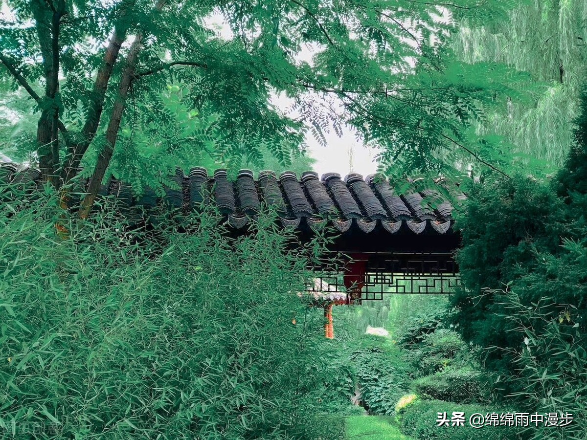 塘沽河滨公园建成年代,90年代的塘沽河滨公园