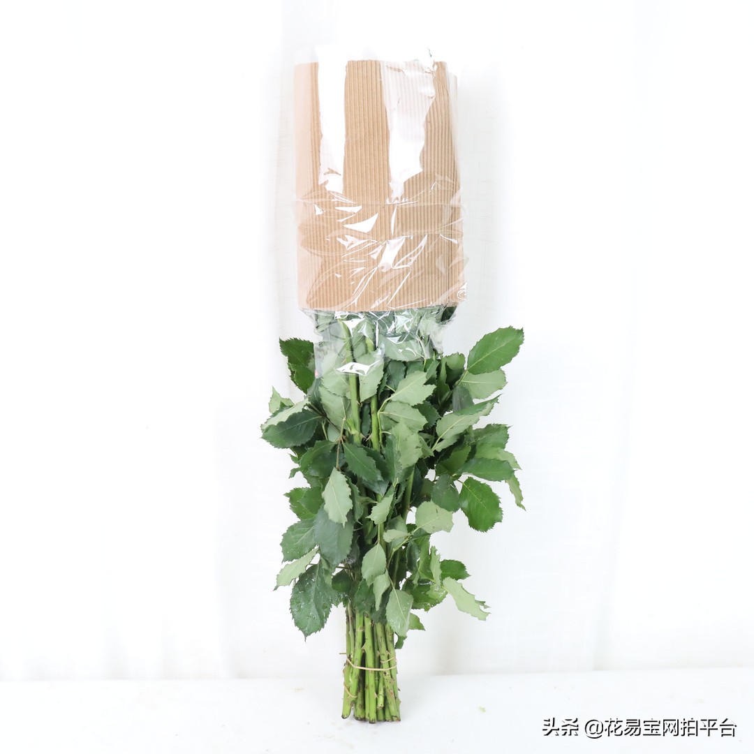 花店玫瑰为什么不香,花店里的玫瑰为什么不香