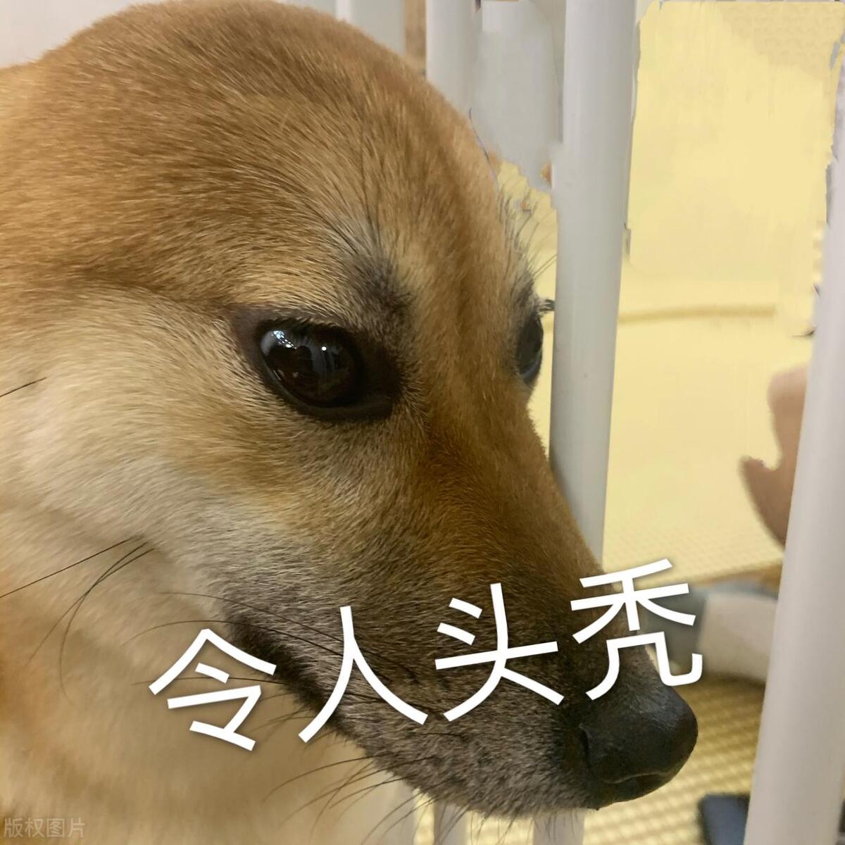 不伤头皮的漂发,无损漂发真的不伤头发吗