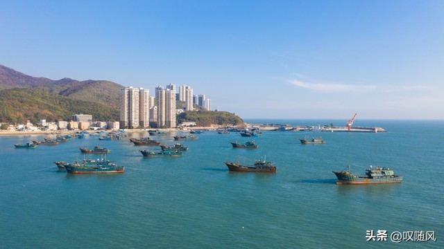 南澳岛彪哥捕鱼最新视频,南澳岛在哪里哪个市