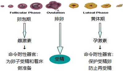 怕她不来又怕她乱来的文案,怕她不来又怕她乱来出处