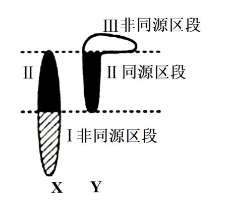 法国牛品种有哪些,全世界牛的种类和分布
