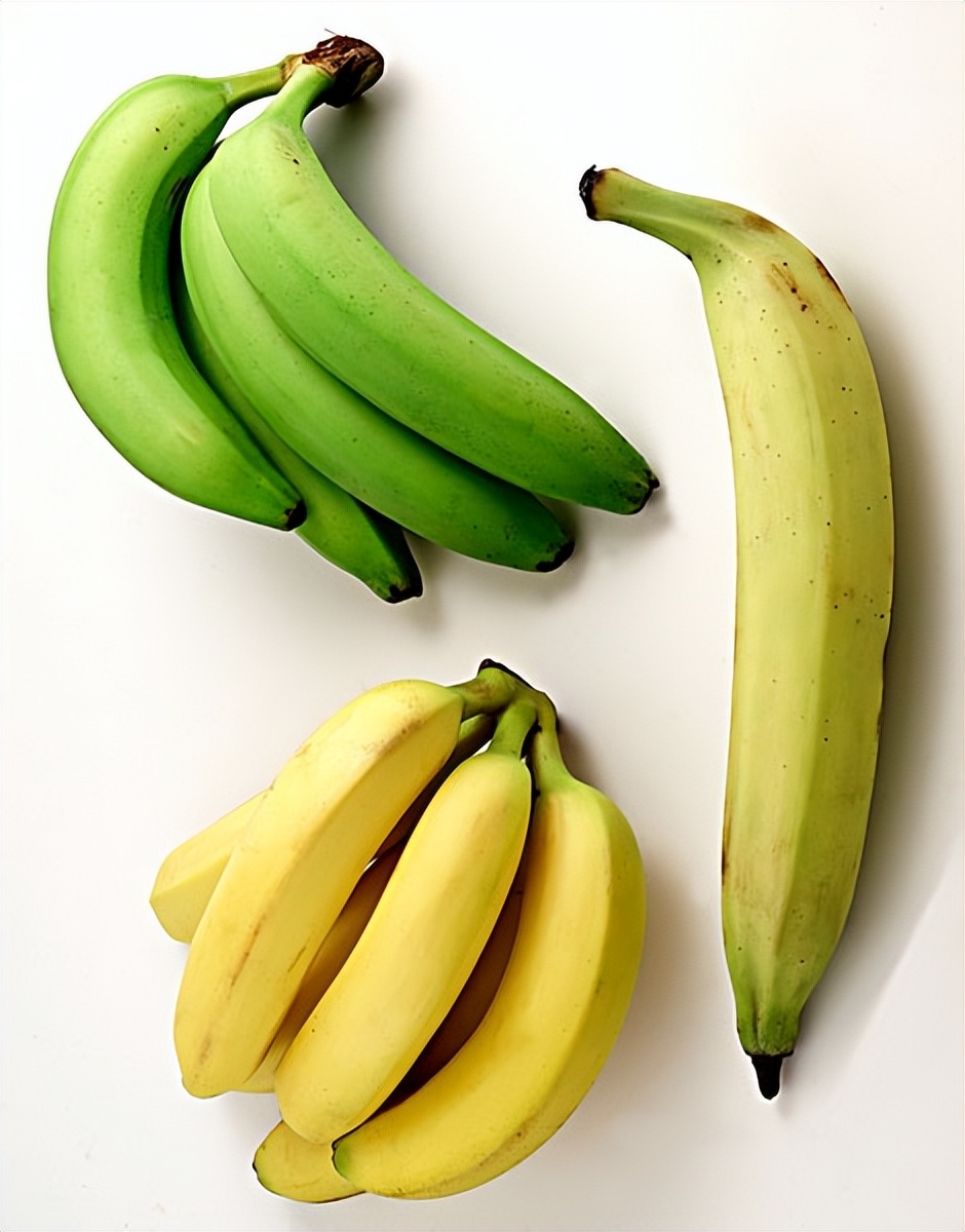 香蕉科普中国,香蕉生活常识大全集