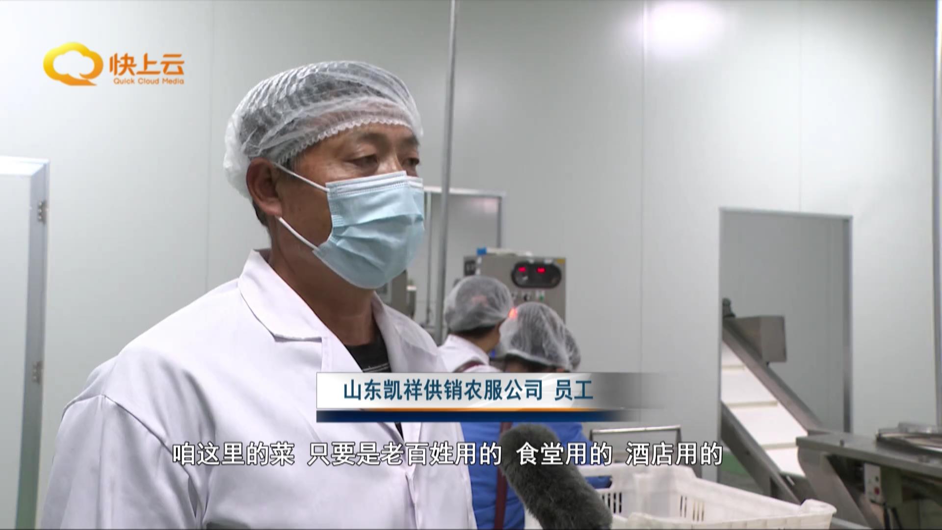 打造农业全产业链要做到什么,打造现代全产业链订单农业