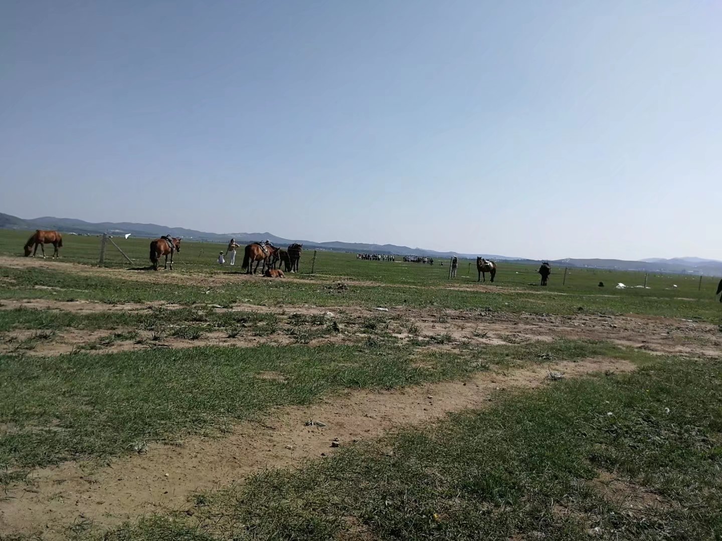 河北丰宁坝上草原特产,河北丰宁坝上草原大汗行宫