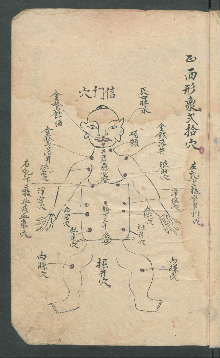 华佗仙师秘传01,华佗仙师秘传全集