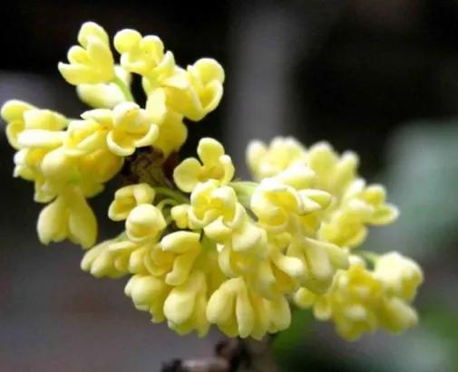 一念天堂一念地狱歌曲,一念天堂一念地狱全文阅读