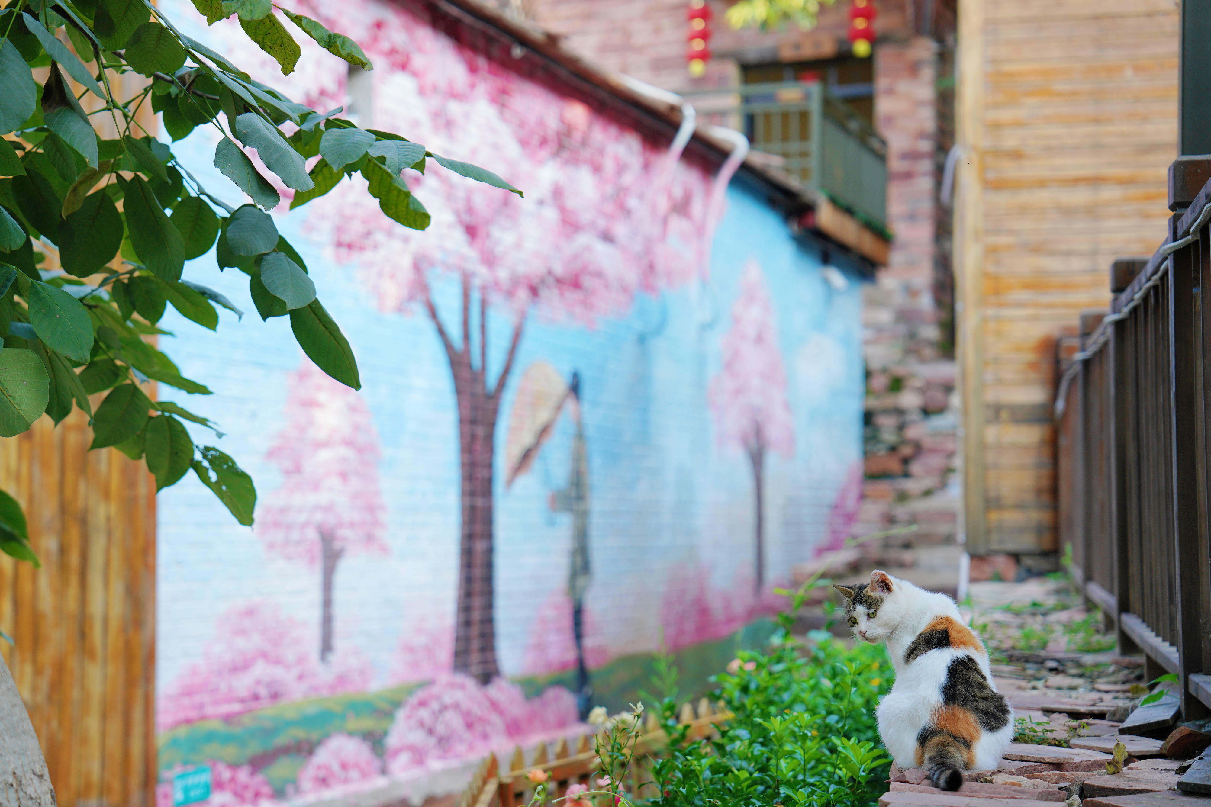 邢台适合晚上去的古村落,邢台周边一日游民宿绝佳去处