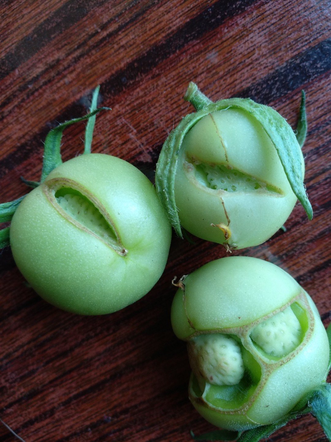 番茄裂果和卷叶是什么原因,番茄裂果是什么原因