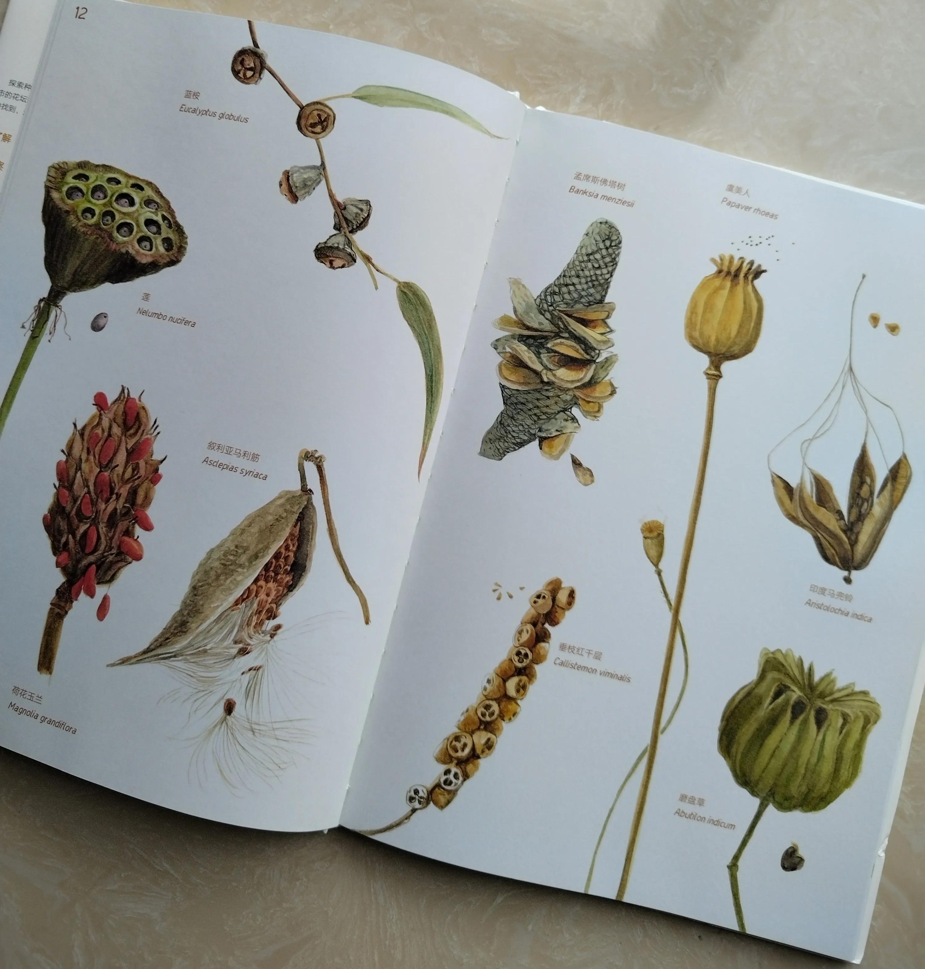 鎺㈢储鑷劧鐨勫ゥ绉樻劅鍙楃敓鍛界殑绁炲,鎴戜滑璧拌繘澶ц嚜鐒舵帰瀵荤敓鍛界殑婧愭硥