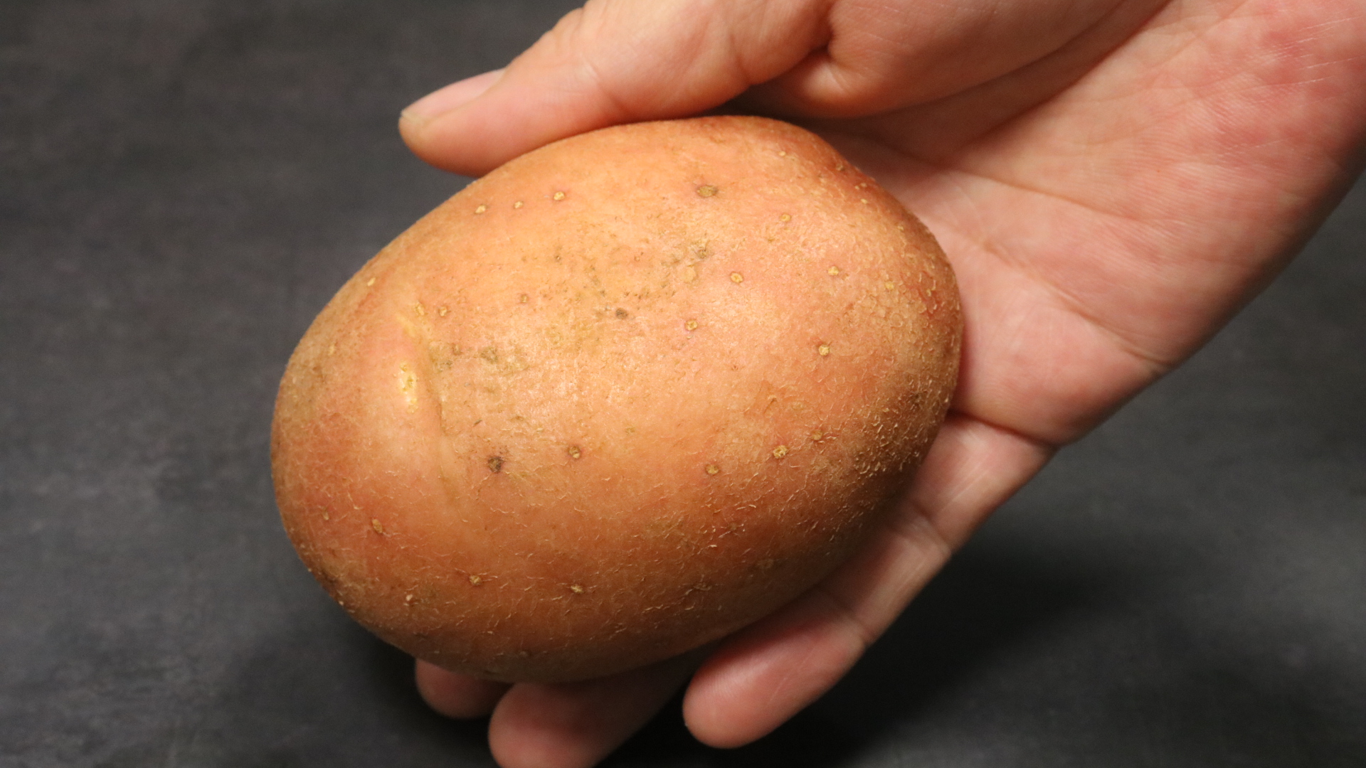 家里有蟑螂和虫子怎样能彻底消灭,家里有蟑螂教你一招全部消灭