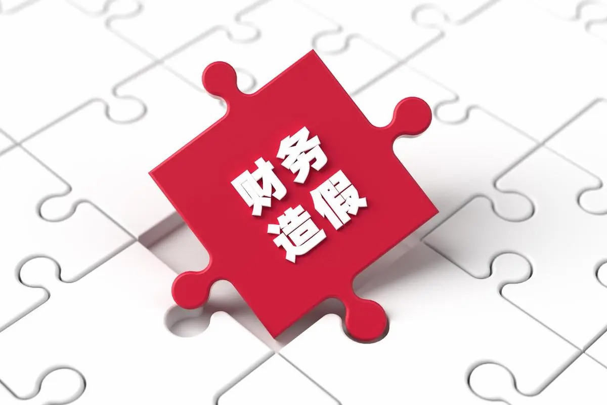 财务第一步学会做假账,财务如何看是否做假账