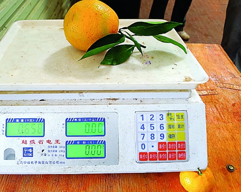 菜市场电子秤作假方法,揭秘卖菜电子秤作假