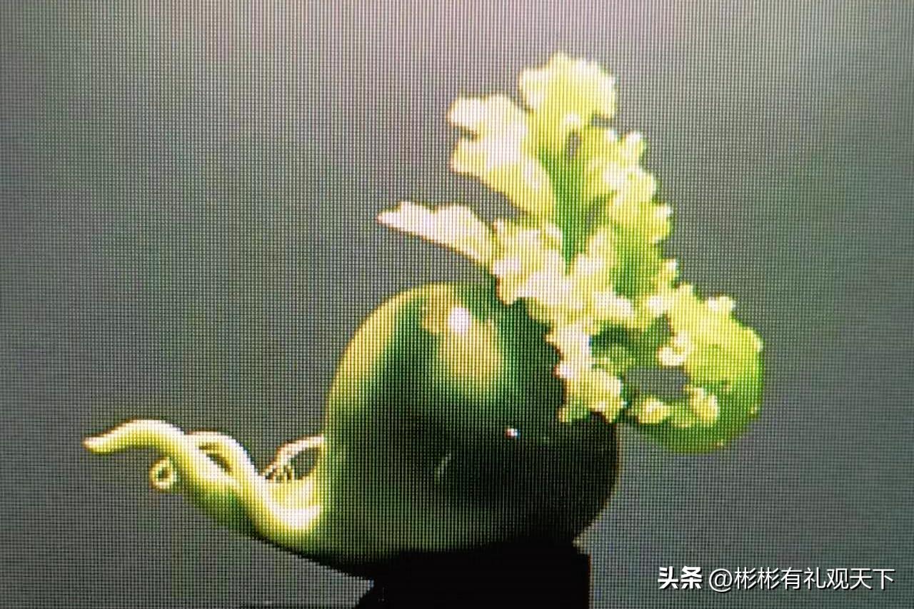 中国四大名玉岫玉收藏品,岫玉四大名玉直播