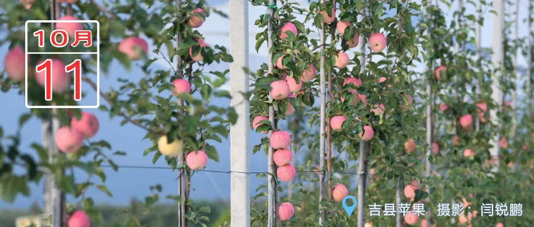 临汾早知道新闻,临汾新闻头条最新消息