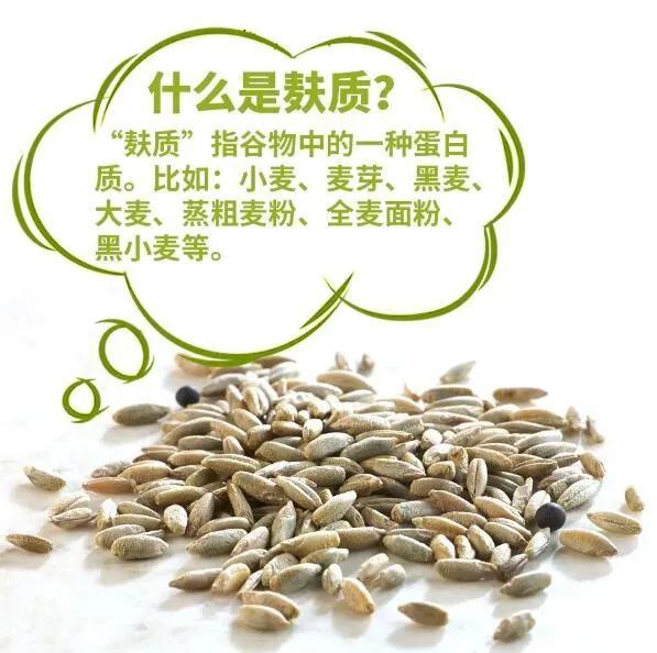 谷物大脑具备权威性吗,谷物大脑有人看过吗