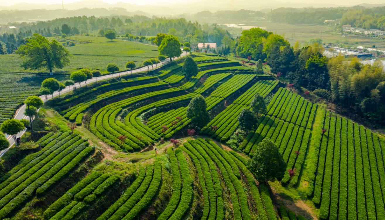 长沙适合夏天避暑打卡的地方,长沙周边旅游避暑推荐