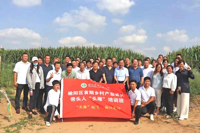 打造新型产业集群服务乡村振兴,做强主导产业助推乡村振兴