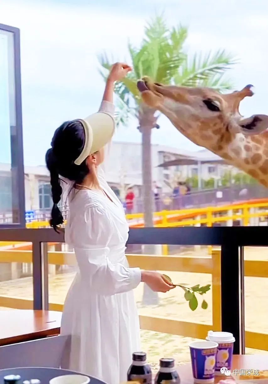 2023鑽ｆ垚鏂囨梾娲诲姩,鑽ｆ垚鐗圭鍏典竴鏃ユ父