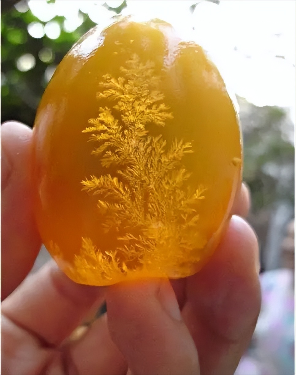 松花蛋内幕,松花蛋的名称怎么来的