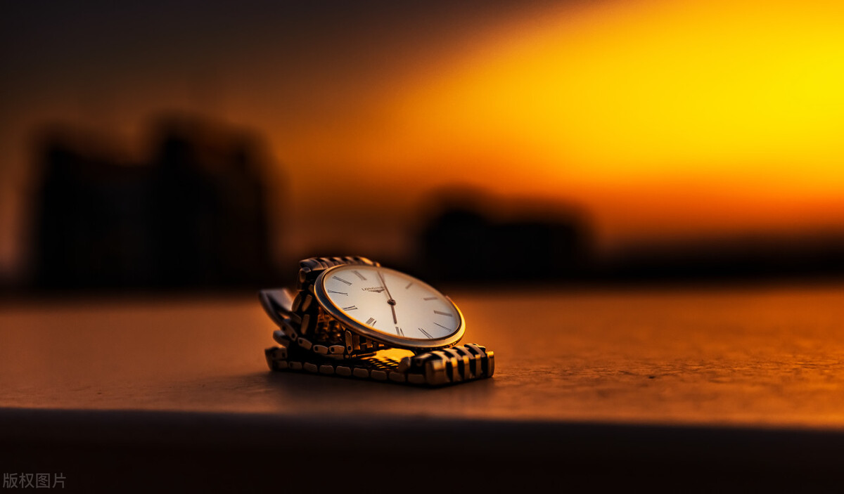 ,转蛊真人读后感