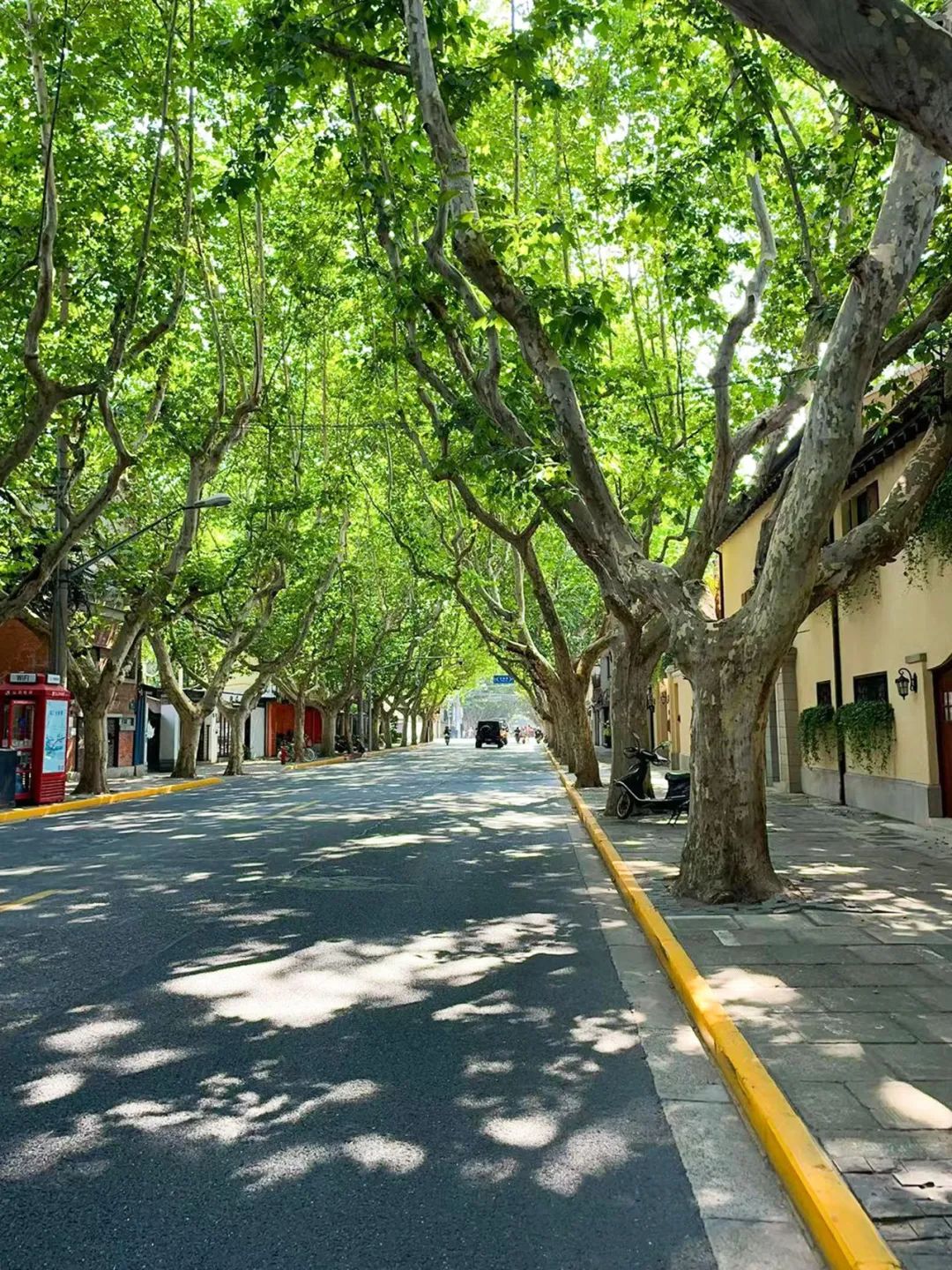 25年最挣钱的行业,25年自行车市场