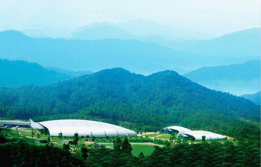 怡宝百岁山是一家吗,怡宝百岁山销量