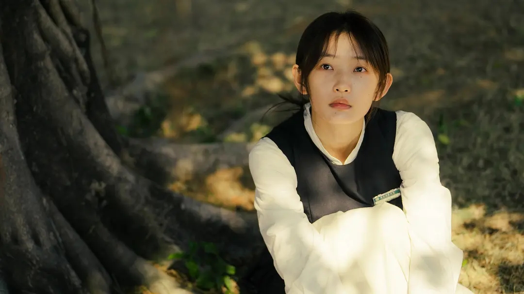 风吹半夏和人世间哪个好看,2022年豆瓣评分最高的古装剧