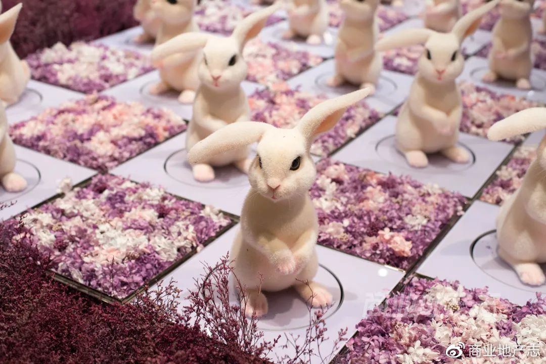 CRR速记|DT51，SKP的mini版？