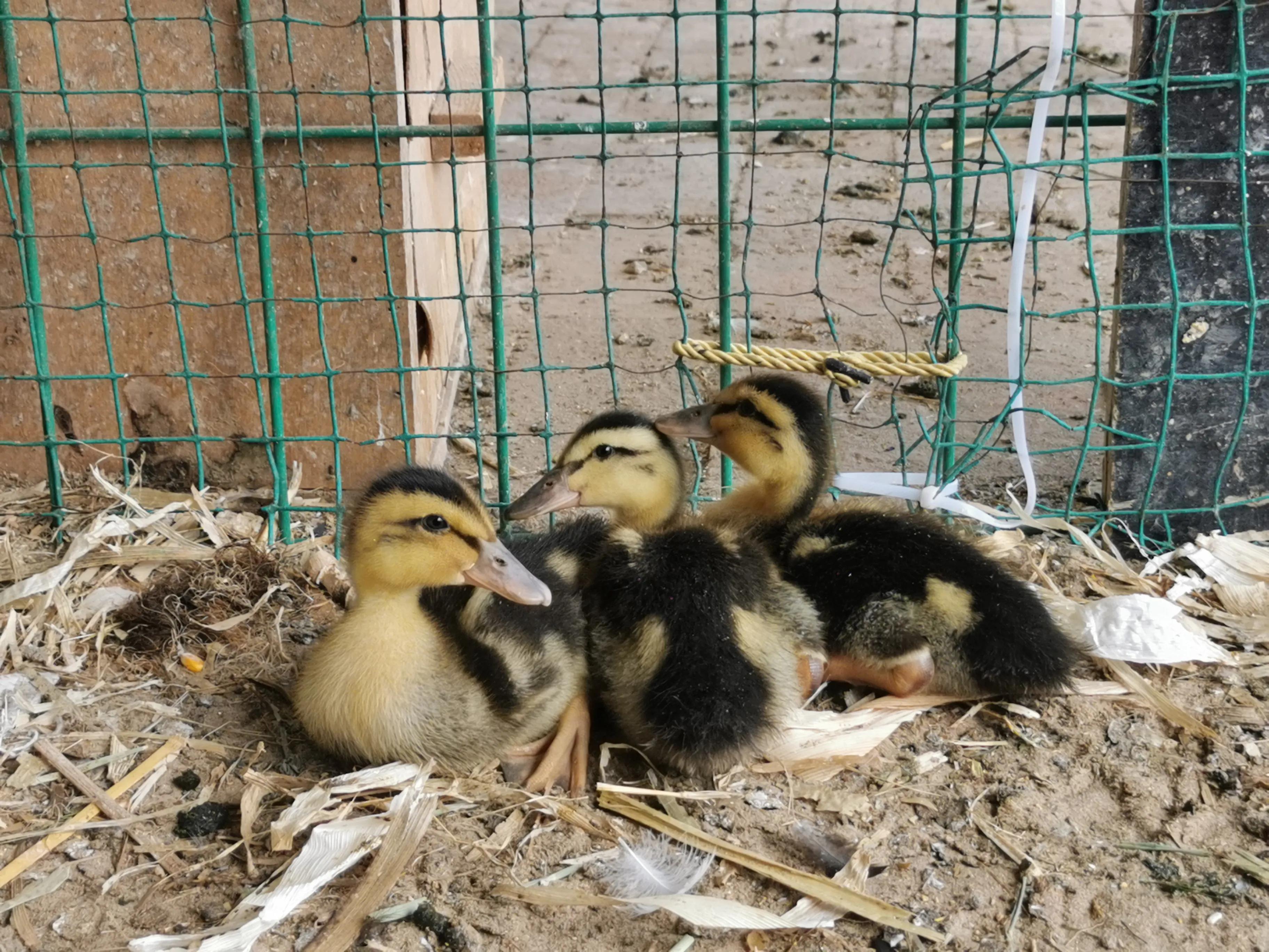 人生的路上靠自己才是硬道理,人生干什么事都要趁早