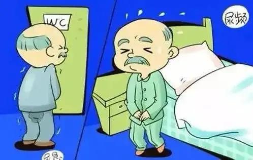 肾虚导致的尿频夜尿吃什么西药,夜尿太多补肾最好的中成药有哪些