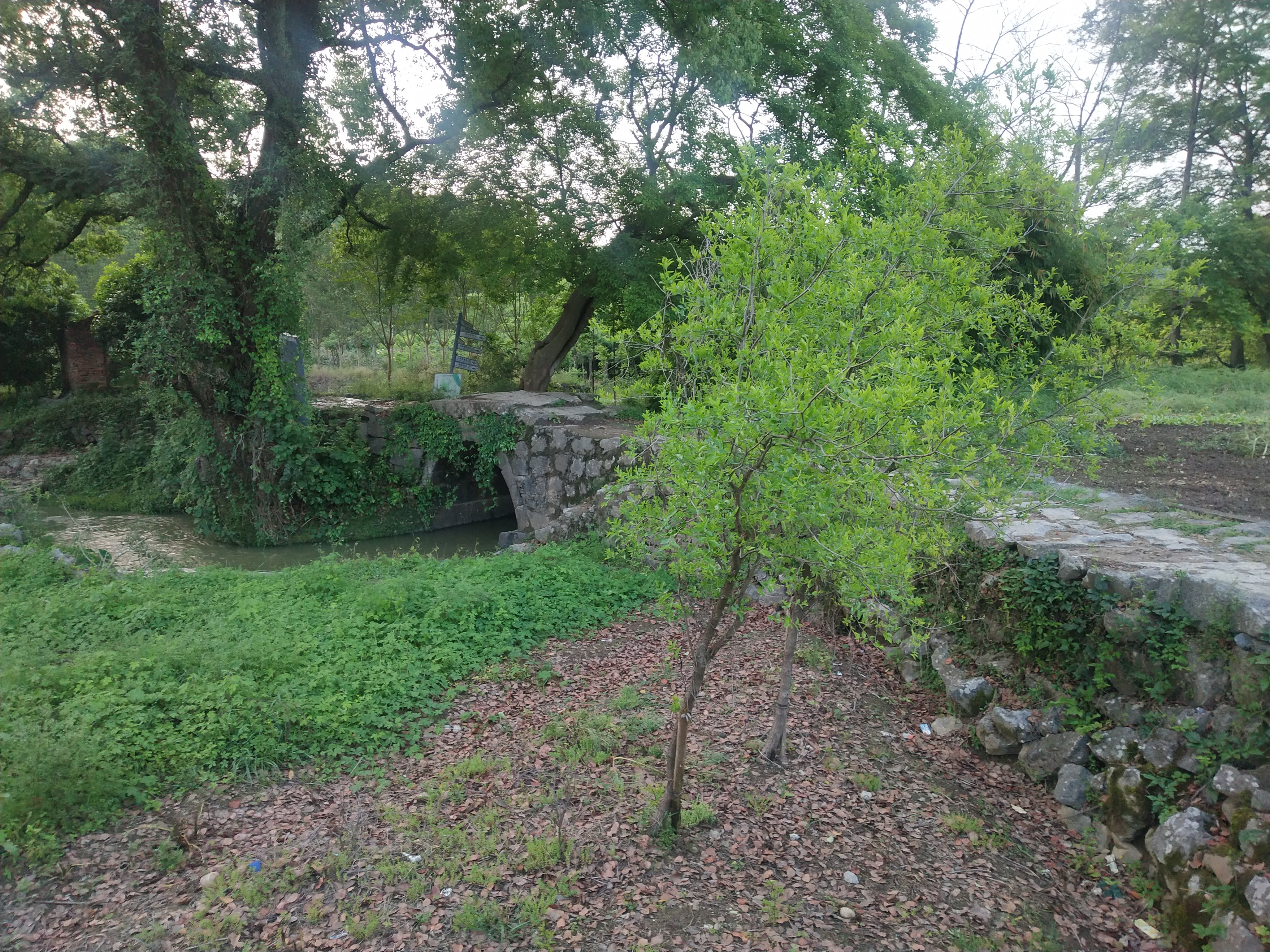 2020灌阳文市石林要门票吗,灌阳文市石林景区门票是多少