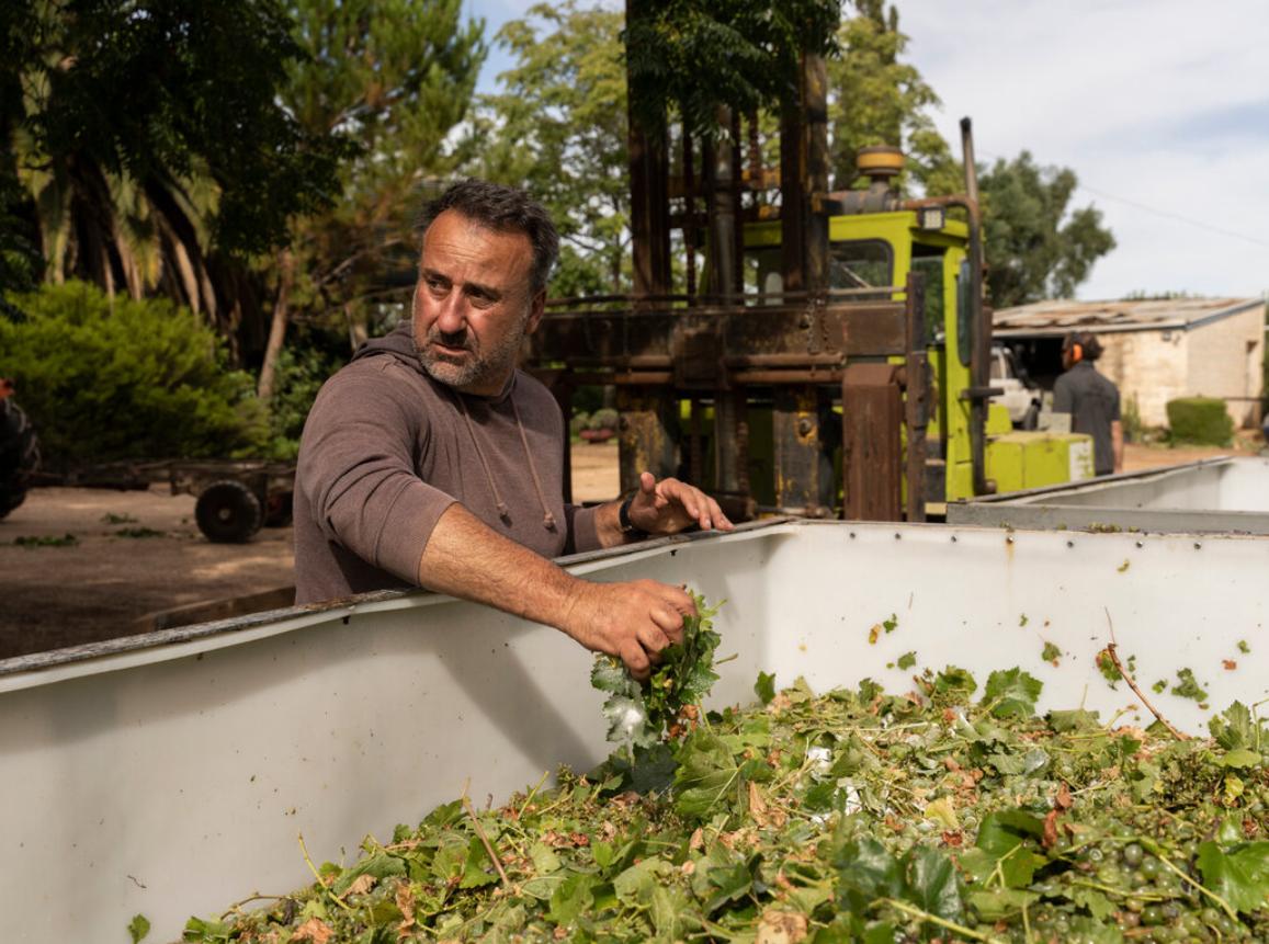 澳大利亚葡萄酒行业陷入危机,澳大利亚葡萄酒为什么反倾销
