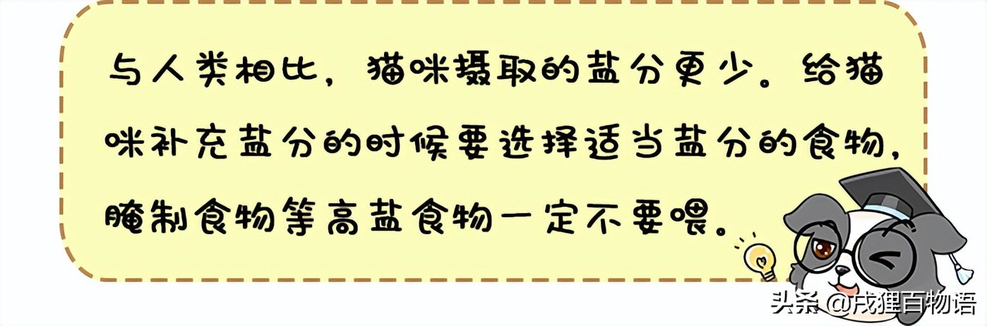 猫咪不能吃咸的说法对吗,猫咪不能吃羊油吗