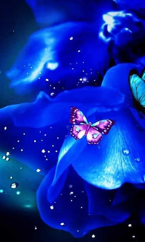 蓝色妖姬花束壁纸,花朵壁纸蓝色