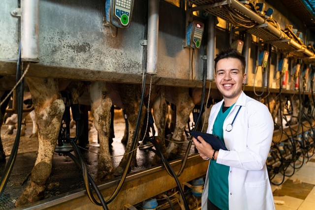 牛价行情低迷养殖户如何保证收益,牛价暴跌养牛人该何去何从