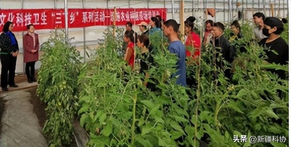 三下乡助农活动的感悟和总结,以学促干激发干事创业