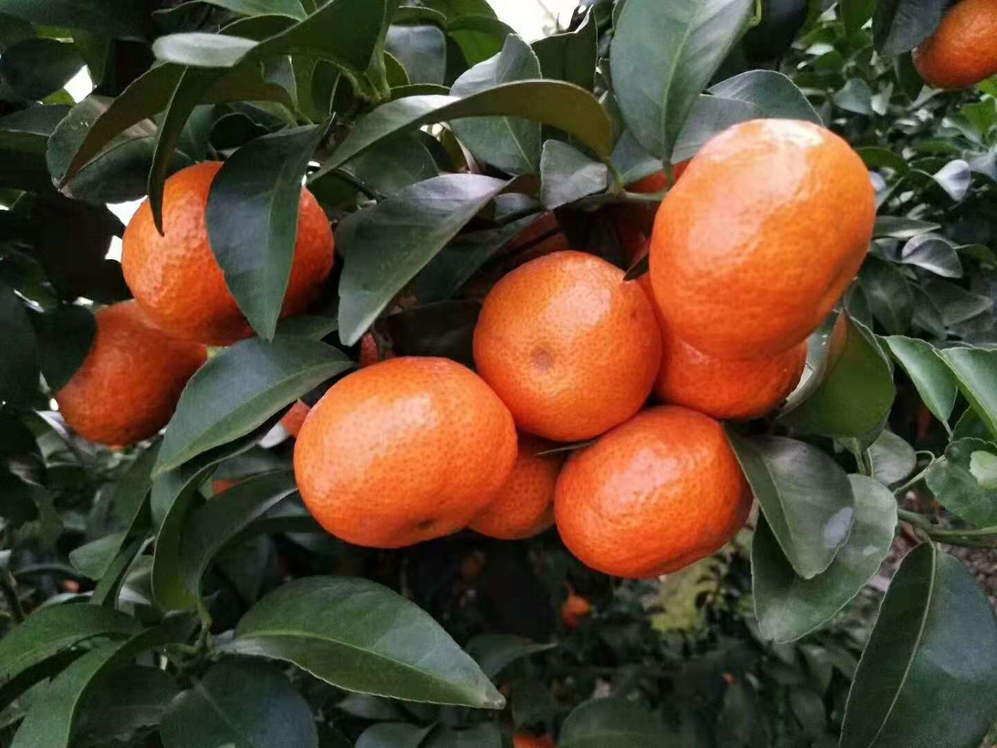 行业不景气怎么办,行业不景气如何创业