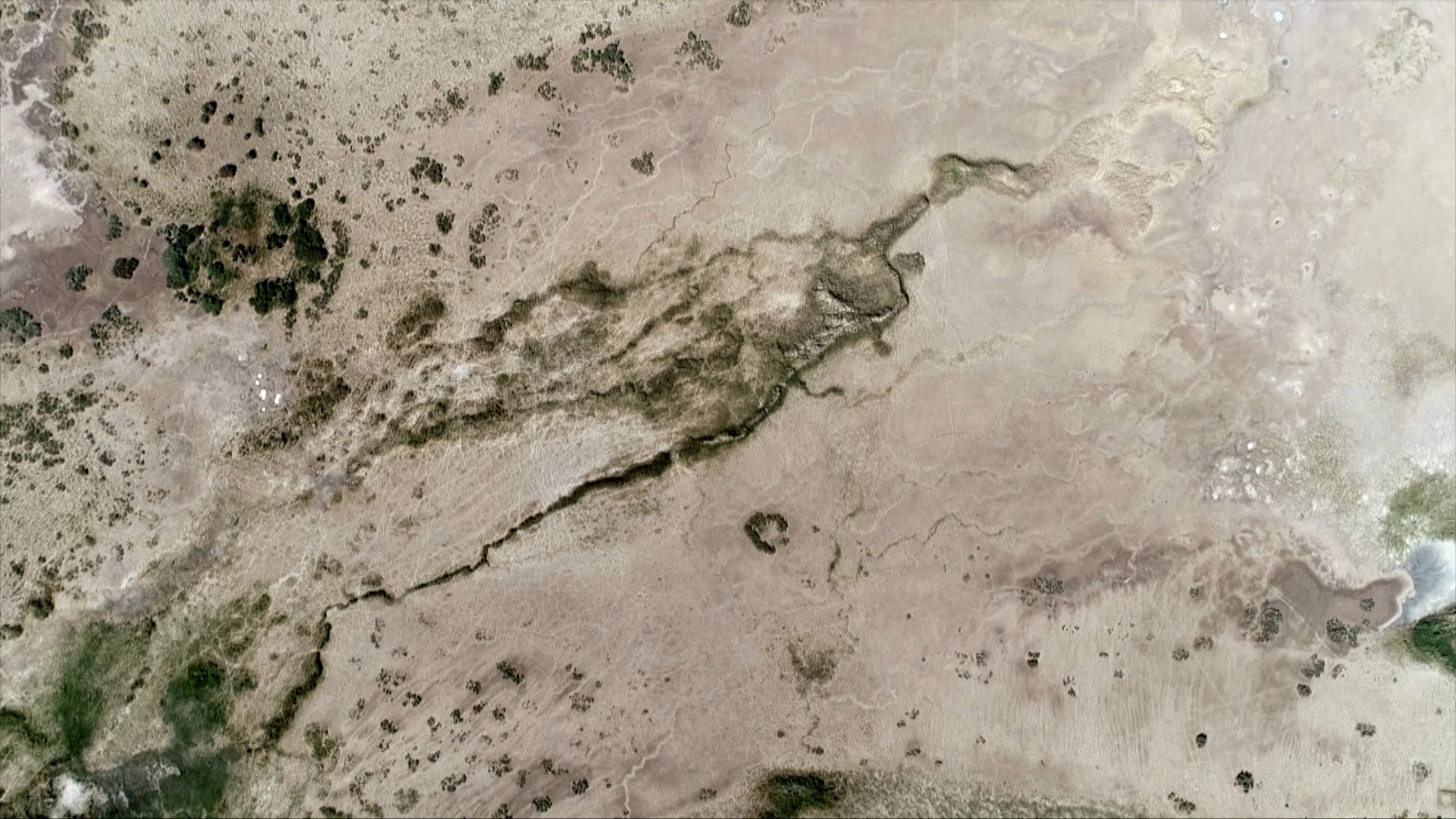 青藏高原诺木洪枸杞,青海诺木洪枸杞什么时候采摘结束