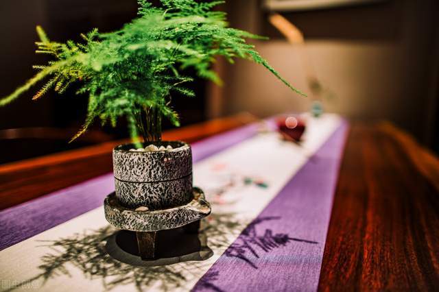 浮生十雅莳花,浮生半日闲品茗觅清欢