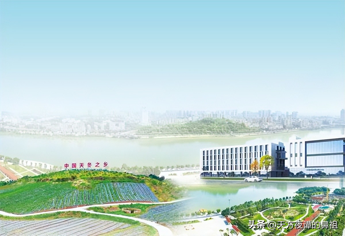 广西东兴壮大产业,东兴产业发展