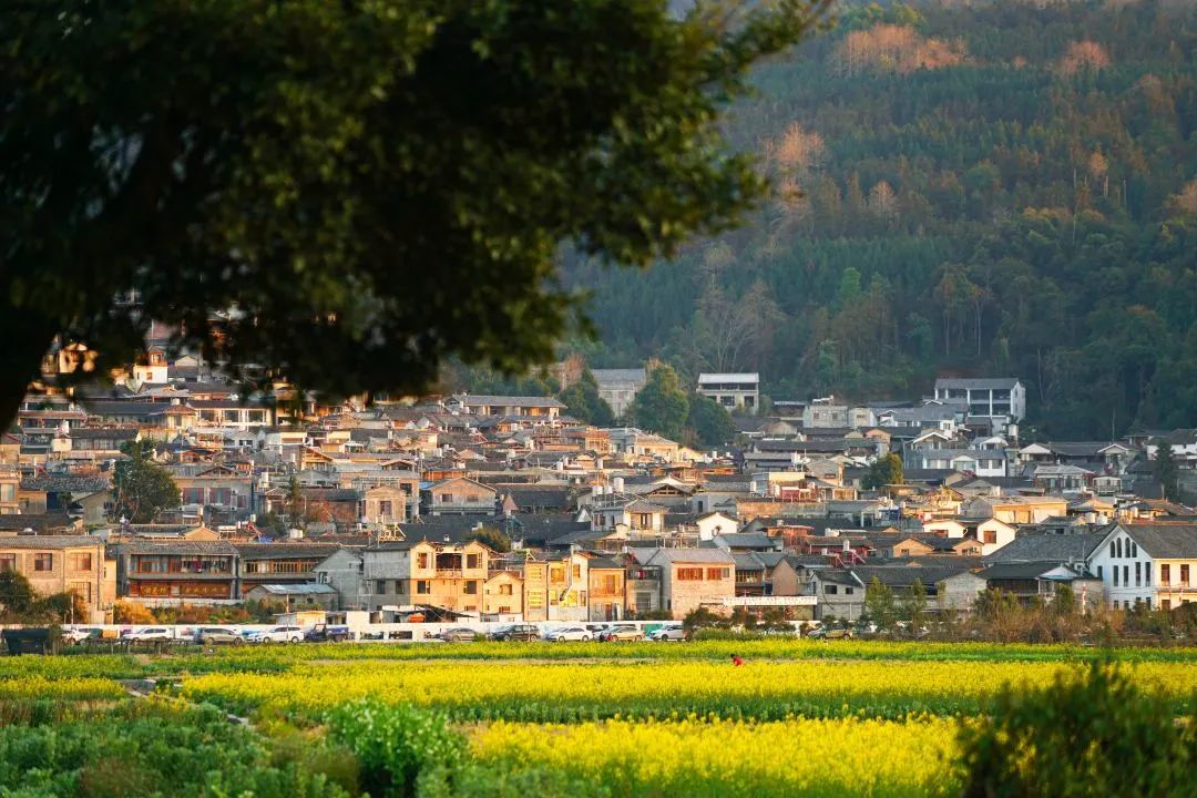 来到腾冲你不得不看的攻略！避雷推荐打卡一气呵成良心之作！