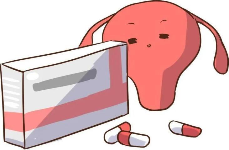 科普|人生第一所房子——“子宫”的恢复