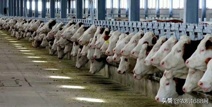 两代人接力,两代人创业成功案例